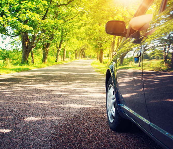 car on tree lined road