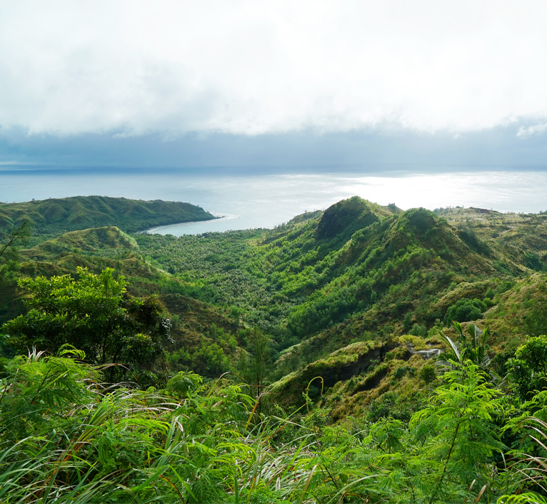 cetti bay